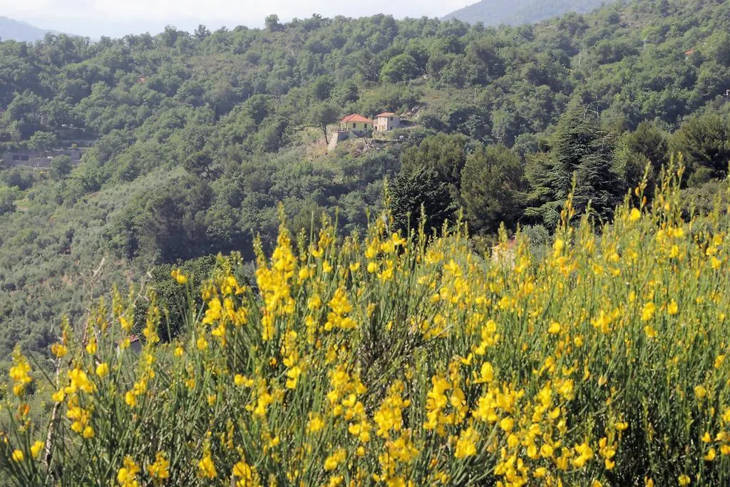 Case Natura Pontedassio 0*,